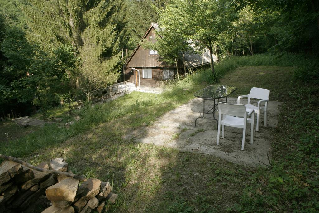 Vila Harangvirag 36 Fahaz Kismaros Exteriér fotografie