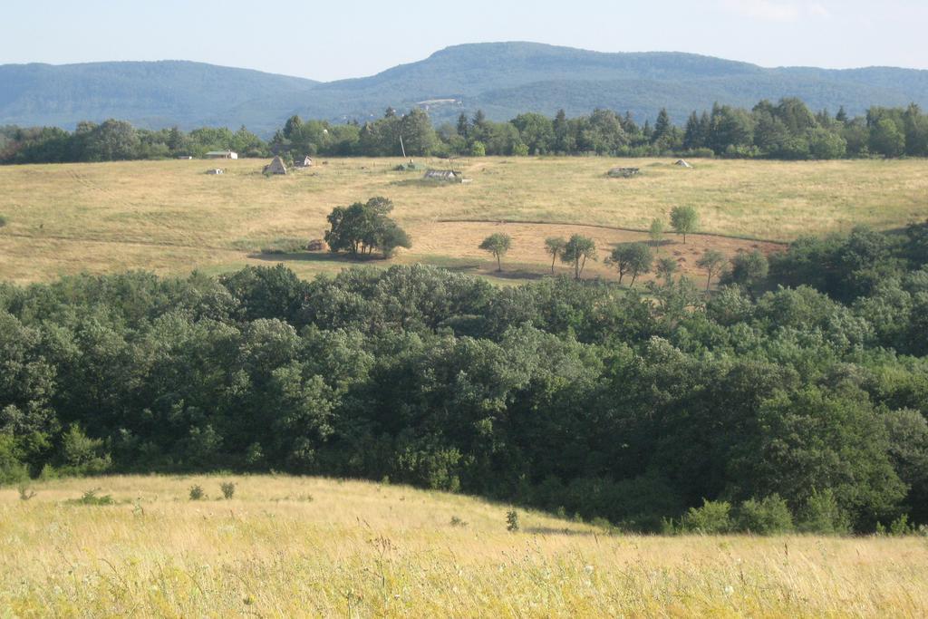 Vila Harangvirag 36 Fahaz Kismaros Exteriér fotografie